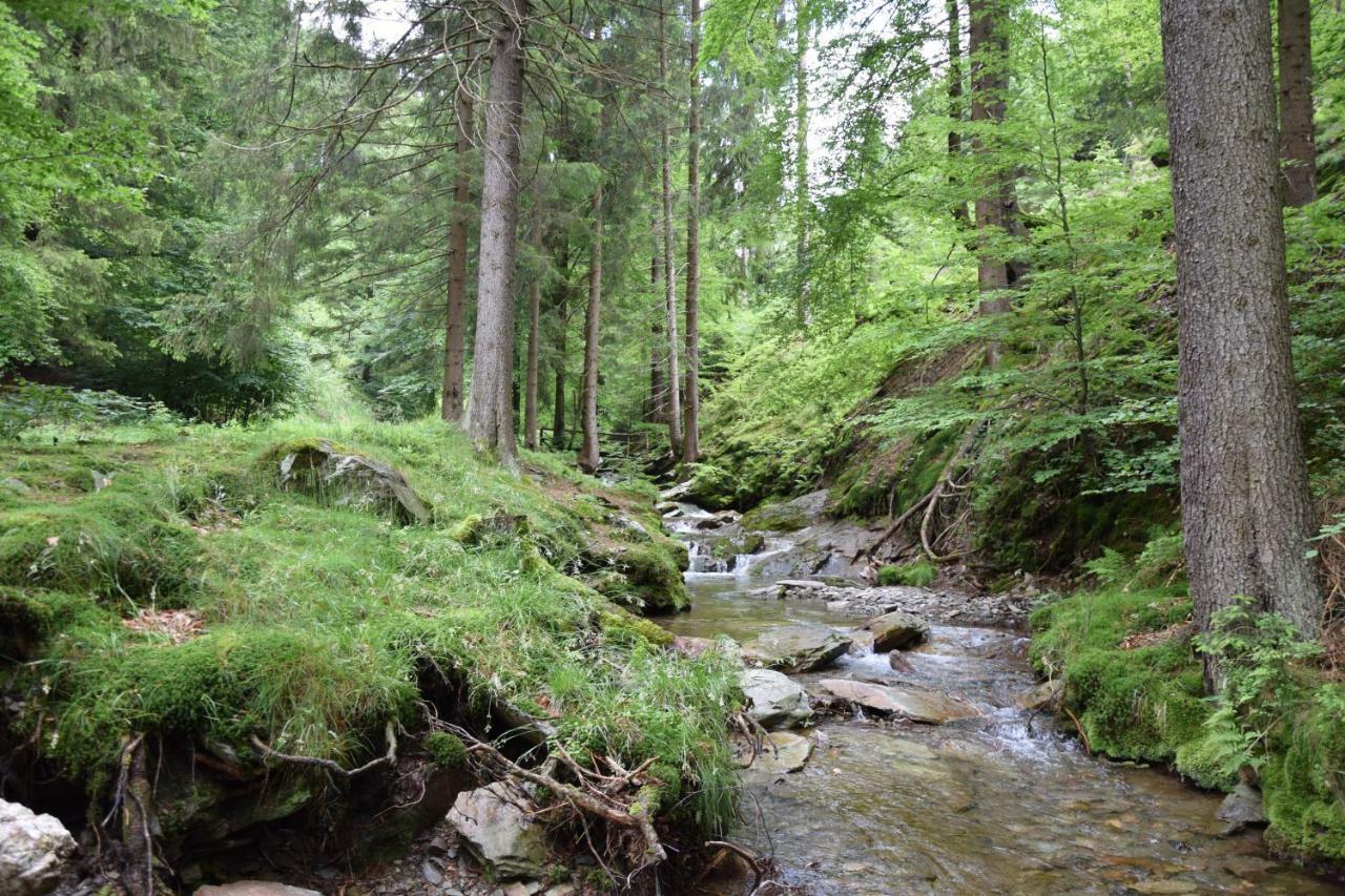 Marschalls Hotel Am Rennsteig Нойхаус ам Ренвег Екстериор снимка